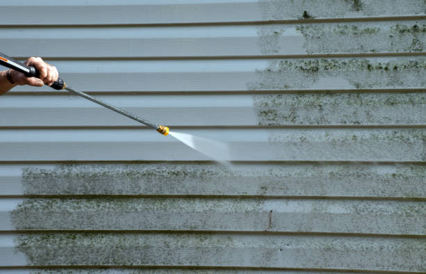 Attic Mold Removal in Laurel, MT