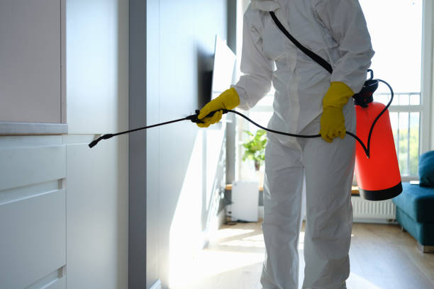 Best Commercial Mold Removal  in Laurel, MT